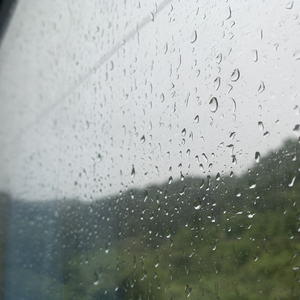 被送到黑人变态性俱乐部小说
