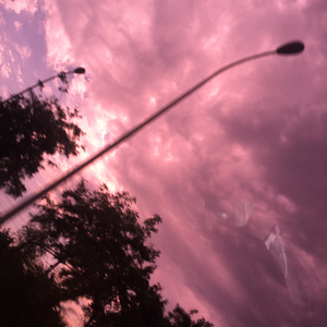 被送到黑人变态性俱乐部小说
